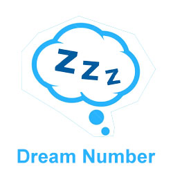 Teer Dream Numbers